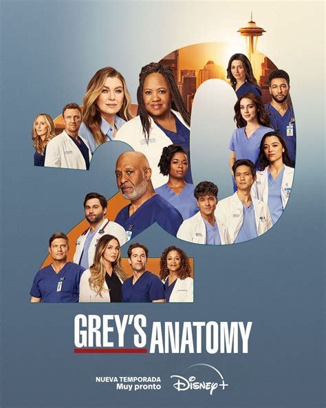 grey's anatomy 19 temporada torrent.